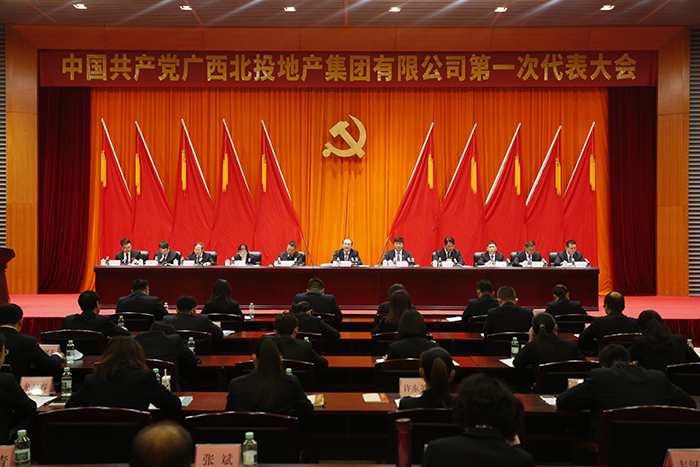 17.中国共产党广西北投地产集团有限公司第一次代表大会胜利召开.jpg