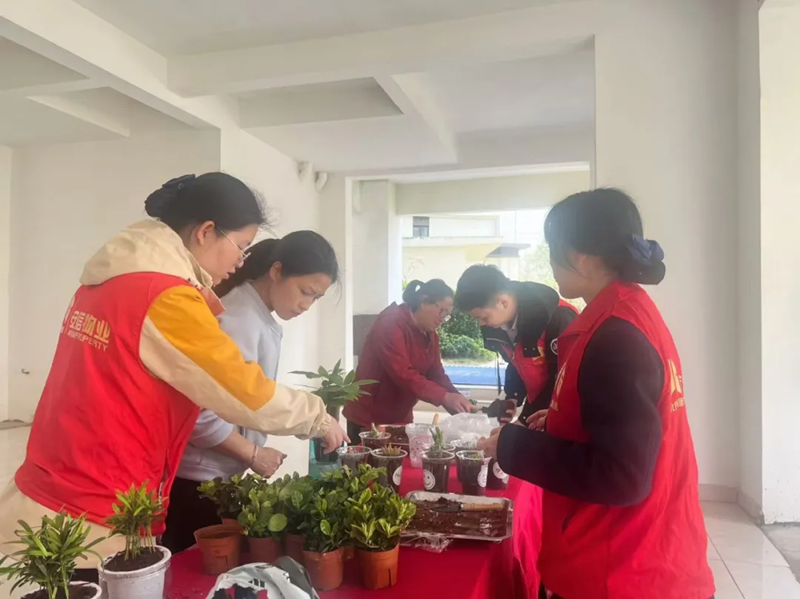 微信图片_20250318103845_副本.png
